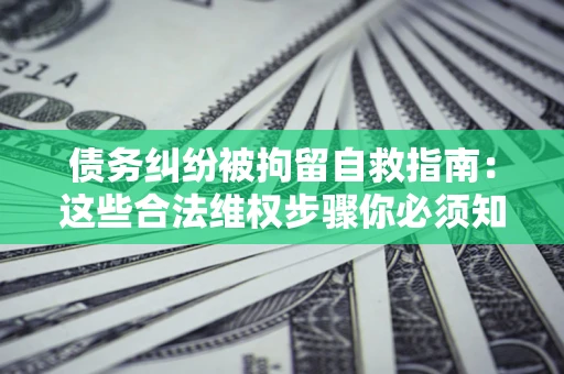 济南债务纠纷被拘留自救指南：这些合法维权步骤你必须知道！