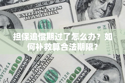 济南担保追偿期过了怎么办？如何补救算合法期限？