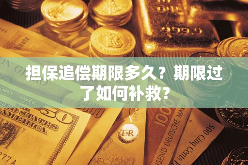 济南担保追偿期限多久？期限过了如何补救？