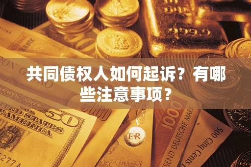 济南共同债权人如何起诉？有哪些注意事项？